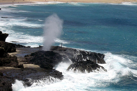 Oahu East Coast to Mountain Tour