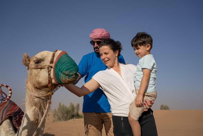 Balade à dos de chameau dans le désert de Dakhla - dromadaire