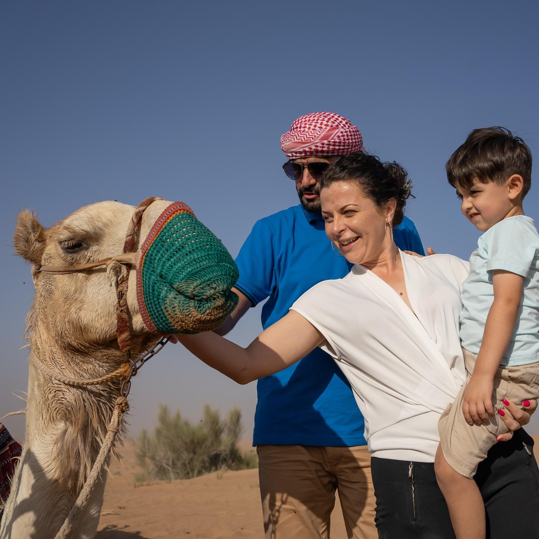 Balade à dos de chameau dans le désert de Dakhla