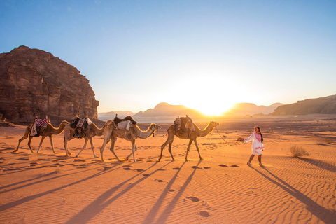 Petra, Wadi Rum & Aqaba 3D/2N Tour