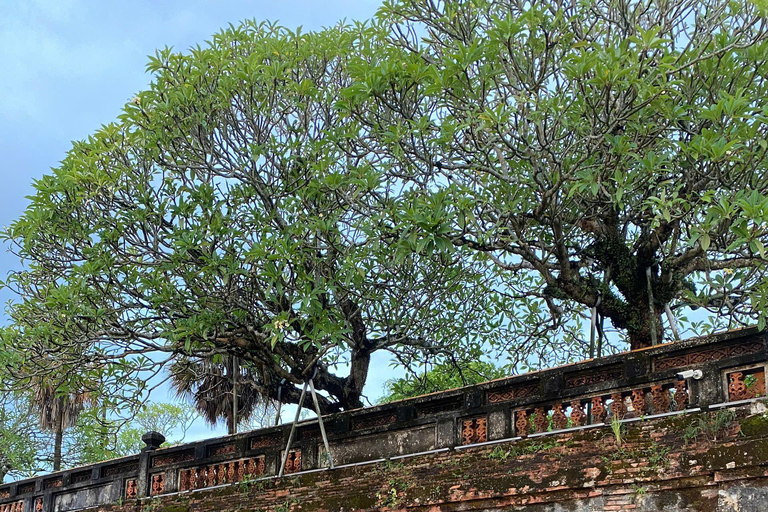 Hue bicycles Rent with MTB Bike full day