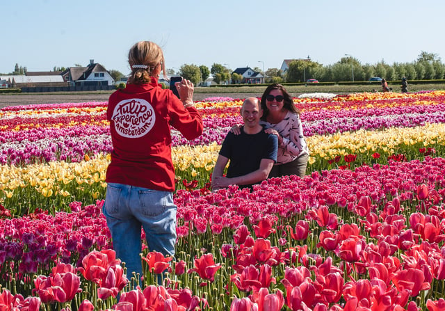 Au départ d&#039;Amsterdam : Les jardins de Keukenhof et l&#039;expérience des tulipes