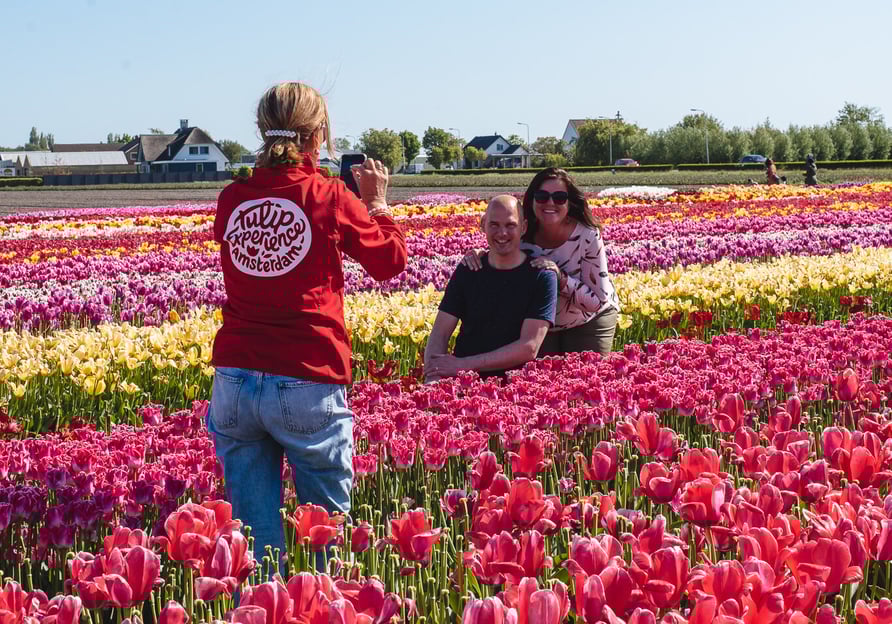 Au départ d&#039;Amsterdam : Les jardins de Keukenhof et l&#039;expérience des tulipes