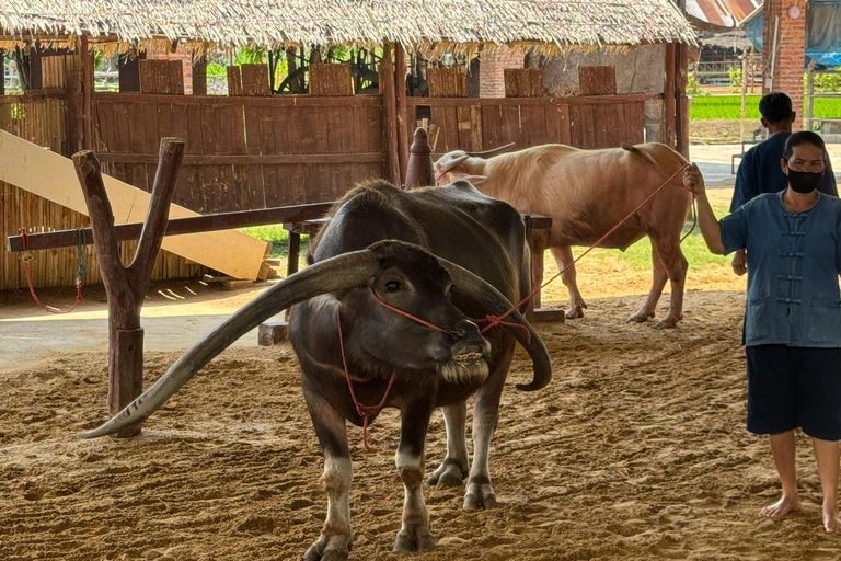 Suphanburi & Kanchanaburi Private Day Trip with Lunch