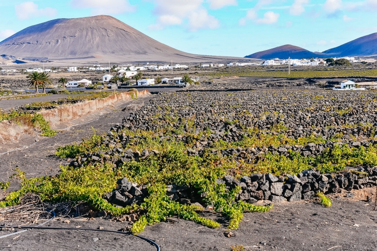 Lanzarote: Volcanos of Timanfaya, Caves, & Lunch Discover Lanzarote, Guided Bus Tour