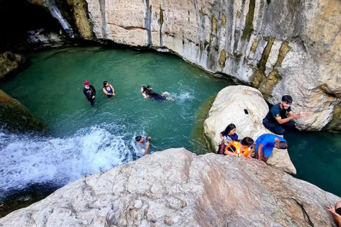 Muscat: Wadi Tiwi, Mibam, Frankincense Tree & Beach Tour