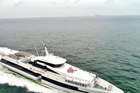 Bali: Eka Jaya Fast Ferry Transfer to Gili Islands & Lombok Nusa Penida to Senggigi