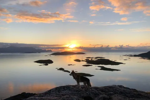 Tromsø: Tour del sole di mezzanotte delle isole Sommarøy