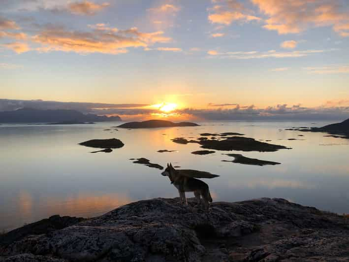 Sommarøy Inseln, Tromsø: Nachttour mitten in der Sonne