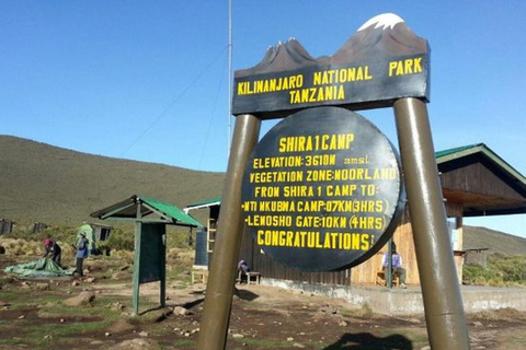 Arusha: 7-Day Mount Kilimanjaro Machame Route Trek