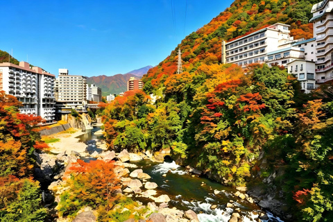 From Tokyo: Nikko World Heritage Sites & Hot Spring Day Trip Meeting point pickup