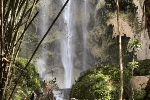 Oslob: Whale Sharks, Tumalog Falls & Sumilon Trio Adventure