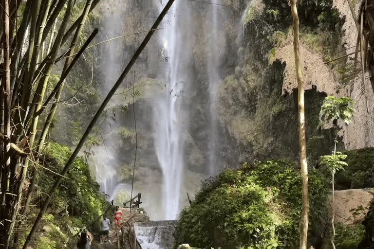 Oslob: Whale Sharks, Tumalog Falls & Sumilon Trio Adventure