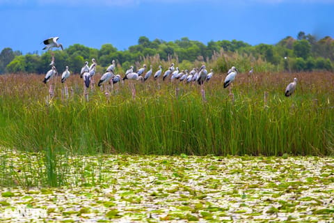 From Hoi An: Reeds Beach, Cham Tower & Mural Village Tour - Image 2