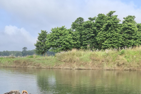 Chitwan: All Inclusive 3 days Safari with Tharu Village tour 3 Star Hotel: All Inclusive Package 2 Nights & 3 Days