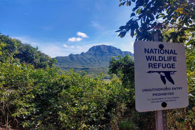 Kauai: Guided Hike and Waterfall Swim Kauai: Waterfall Swim and Hike