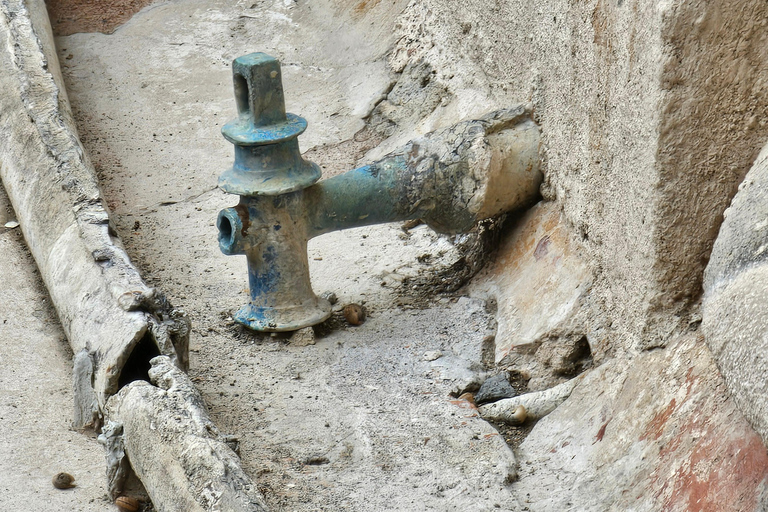 Pompeii: Private Guided Tour with Herculaneum – 3 Options Pompeii Herculaneum & Naples