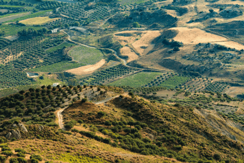 Desde Elounda: excursión privada de un día al palacio, el museo y el vino de KnossosLimusina o SUV de clase premium de 3 asientos