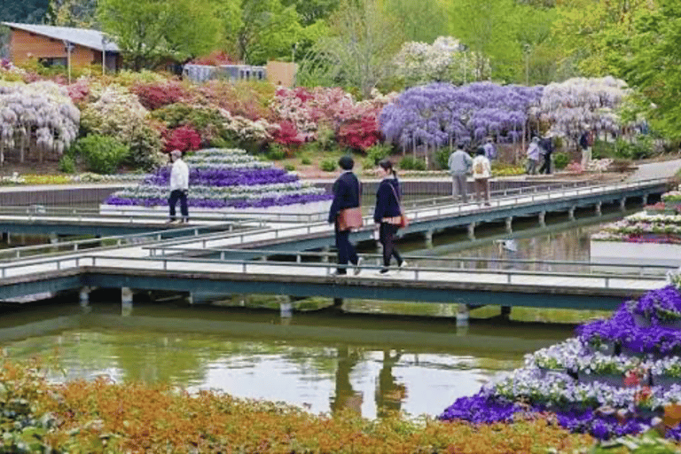 From Tokyo: Ashikaga Flower Park Day Trip with English Guide Ashikaga Full Day Private Customized Tour With English Guide