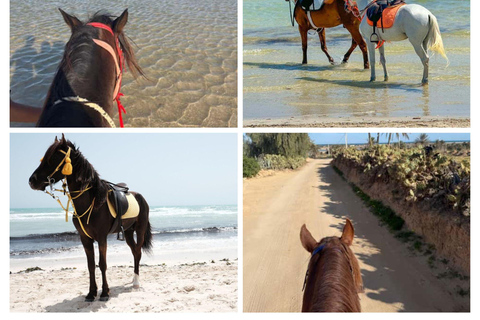 Djerba: Horseback Riding Adventure with Transfer