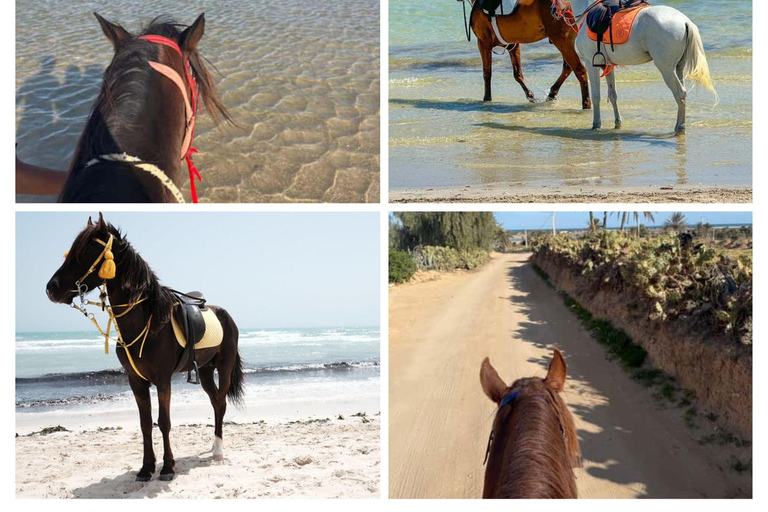 Djerba: Horseback Riding Adventure with Transfer