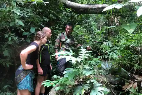 From Chiang Mai: Doi Saket Hiking Tour with Lunch