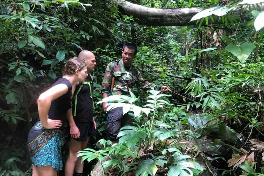Von Chiang Mai aus: Doi Saket Wandertour mit Mittagessen. Foto: GetYourGuide Von Chiang Mai aus: Doi Saket Wandertour mit Mittagessen. Foto: GetYourGuide