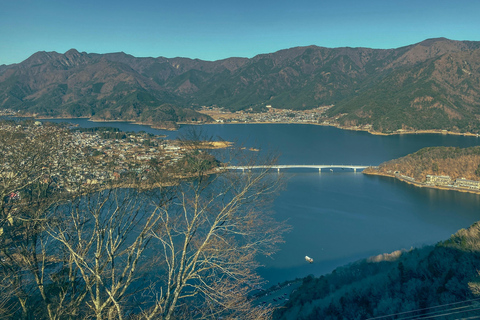 طوكيو: جولة خاصة قابلة للتخصيص ليوم كامل في جبل فوجي