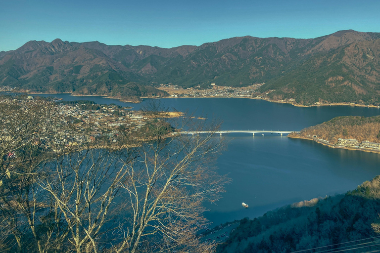 طوكيو: جولة خاصة قابلة للتخصيص ليوم كامل في جبل فوجي