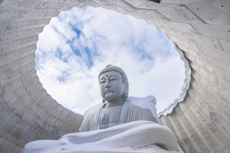 Sapporo: Lake Shikotsu Ice Festival, Snow Fun & Buddha Tour Shared Tour, Meet at Sapporo Station