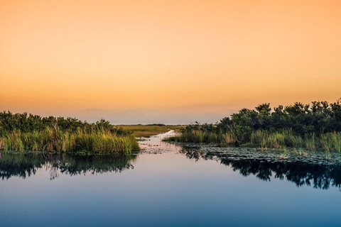 Tour privato delle Everglades da Miami o Fort Lauderdale