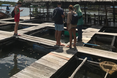 Ko Lanta : Visite d'une demi-journée en kayak dans la mangrove avec déjeuner