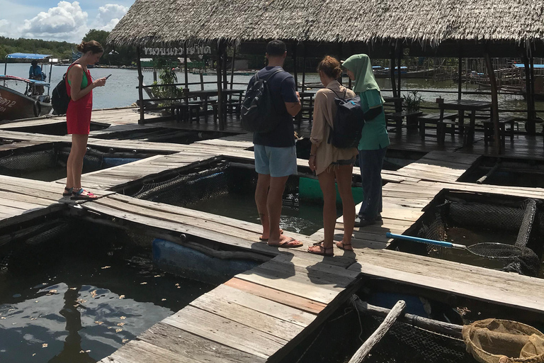 Ko Lanta : Visite d'une demi-journée en kayak dans la mangrove avec déjeuner