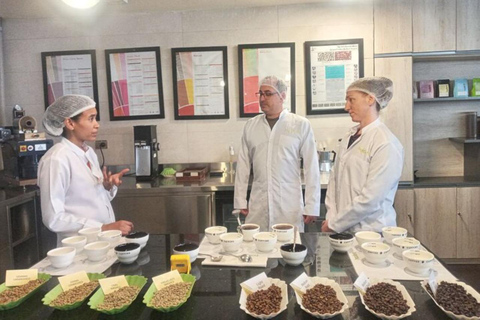 Addis Ababa: Coffee from Bean to Cup Experience