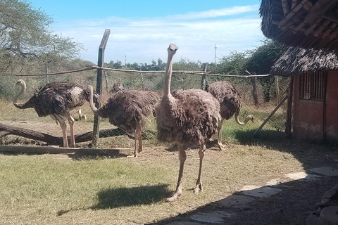 Mombasa: Wildlife Sanctuary Guided Nature Trail Tour Wildlife Sanctuary Guided Nature Trail Tour