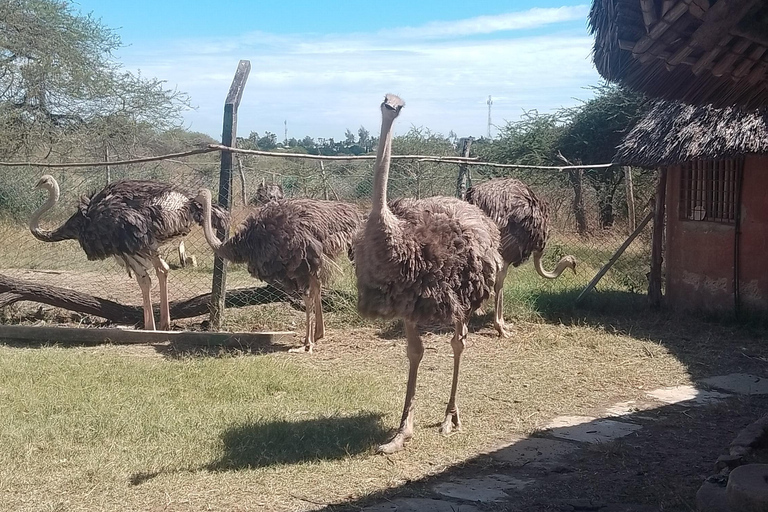 Mombasa: Wildlife Sanctuary Guided Nature Trail Tour Wildlife Sanctuary Guided Nature Trail Tour