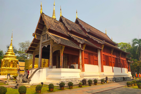 Old Chiangmai city & temples walking tour: (3 hours/1.7 km.)