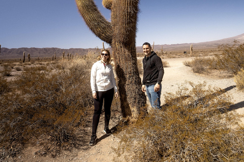 Cachi: Ruta Escénica y Experiencia Local desde Salta