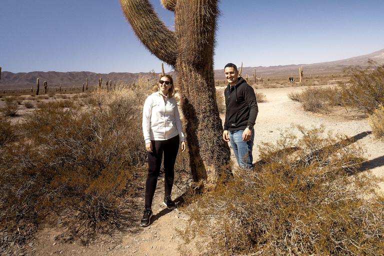 Cachi: Ruta Escénica y Experiencia Local desde Salta