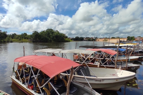 Excursion en bateau rapide sur le fleuve Preguicas