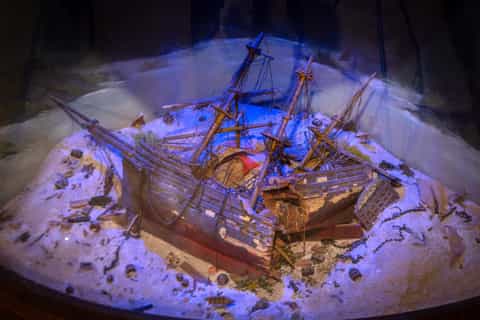 Savannah: Pirates and Treasure Museum Entry Ticket - 2026