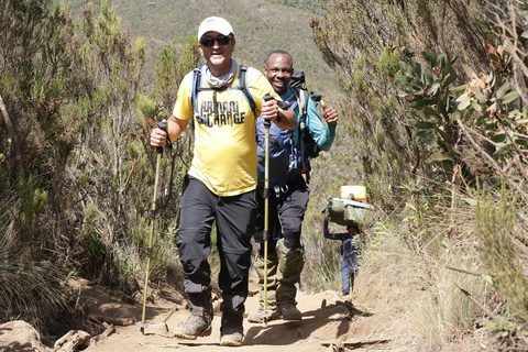 Explora o nosso Top Top 7-Day Lemosho Climbing Kilimanjaro