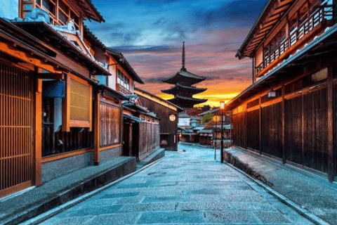From Osaka: Osaka Private Customized Tour With English Guide Osaka : Osaka Private Tour With English Driver
