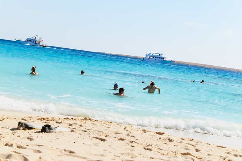 From Hurghada Giftun Island National Park Snorkel Trip Getyourguide