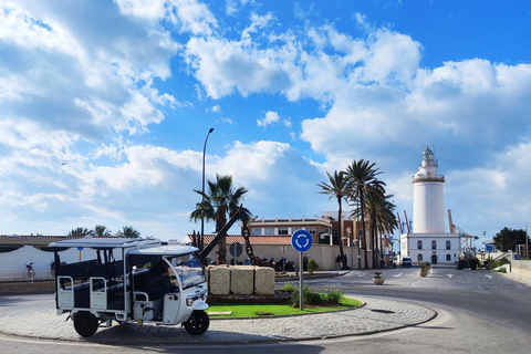 Málaga: Tour guiado particular de Tuk-Tuk