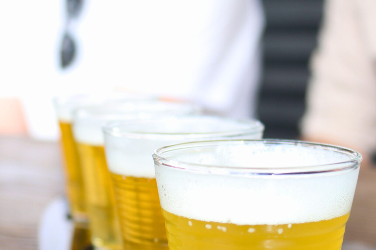 Adelaide: Fleurieu Snorkel & Beer Safari