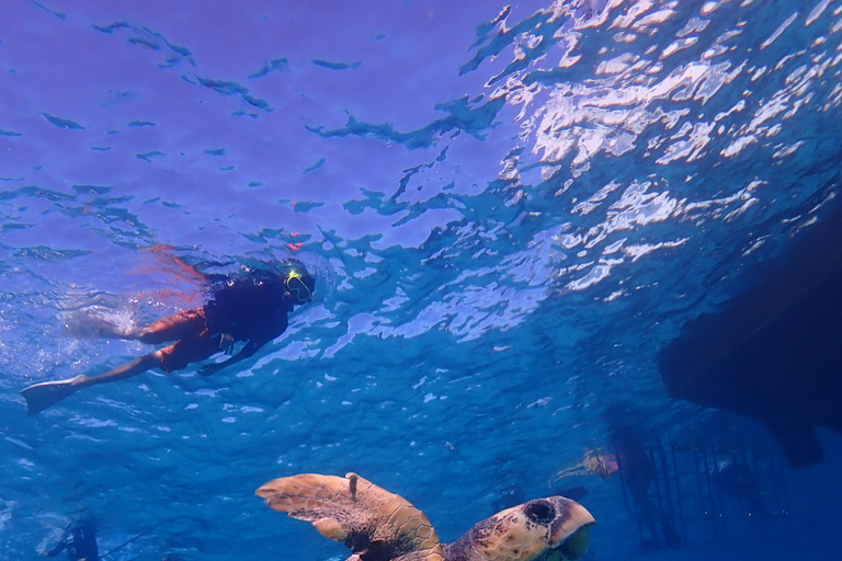 From Naha: Kerama Islands Snorkeling Boat Trip with Turtles