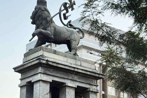 Addis Abeba: Mercato Markt und Sightseeing Tour