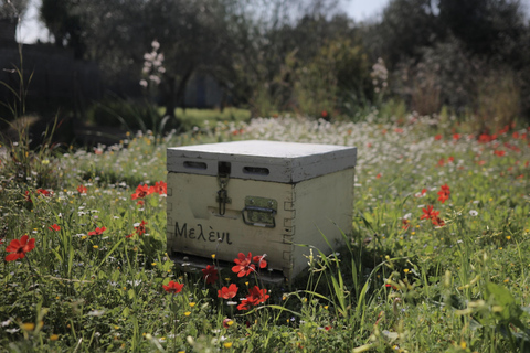 Kalamata: Beekeeping Experience with Honey Tasting