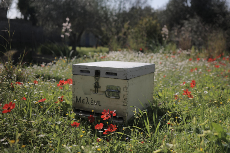 Kalamata: Beekeeping Experience with Honey Tasting